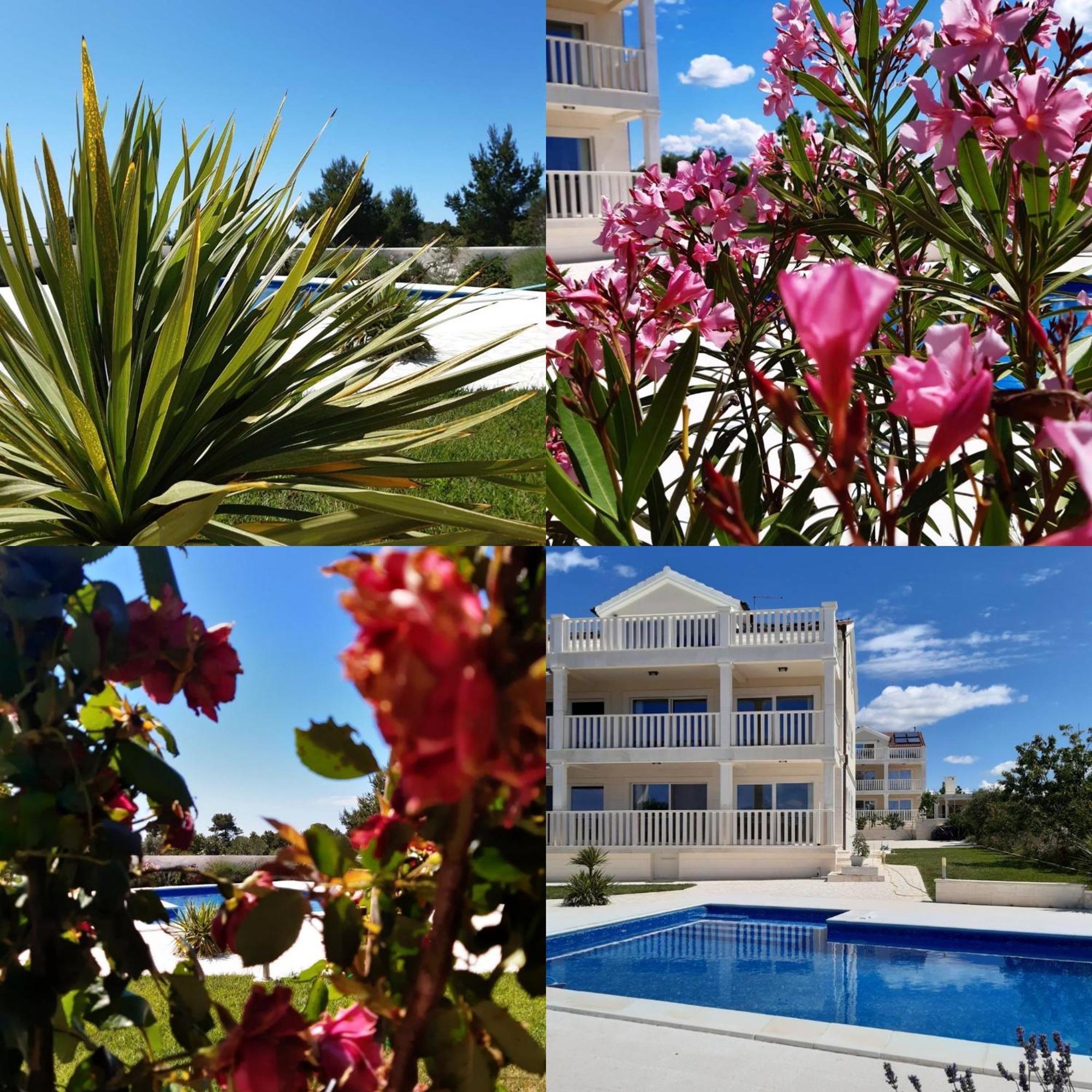 Villa Bachelor Βόντιτσε Εξωτερικό φωτογραφία